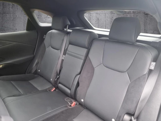Lexus RX - Afbeelding 13 van 30