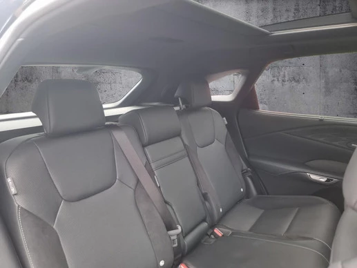 Lexus RX - Afbeelding 19 van 30