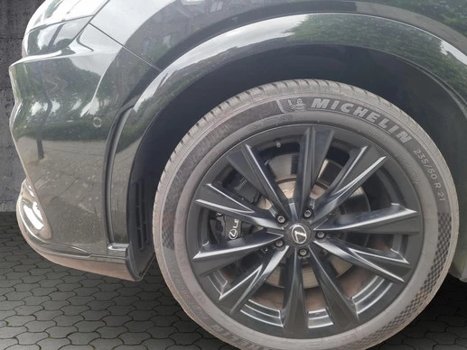 Lexus RX - Afbeelding 23 van 30