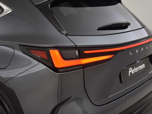 Lexus NX - Afbeelding 11 van 30