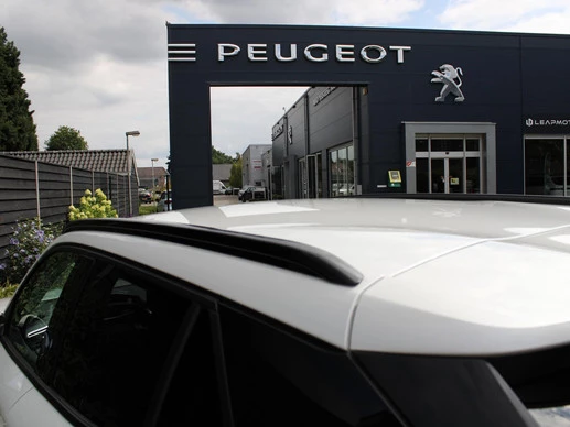 Peugeot e-2008 - Afbeelding 14 van 30