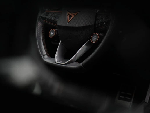 CUPRA Formentor - Afbeelding 18 van 30