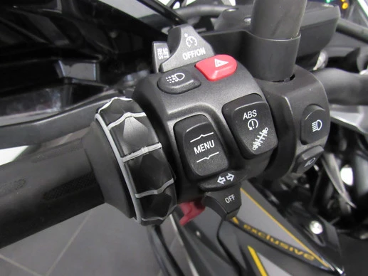 BMW R 1250 GS - Afbeelding 8 van 10