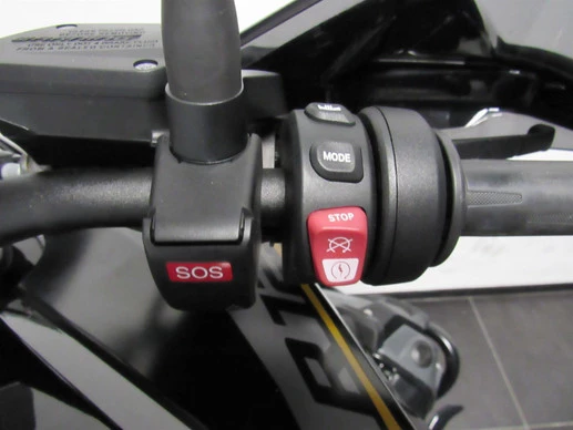 BMW R 1250 GS - Afbeelding 9 van 10