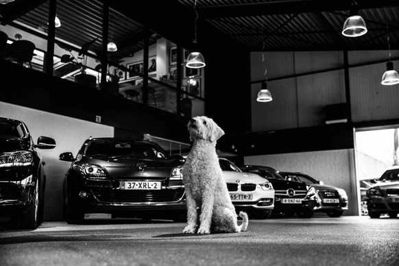 Volkswagen Scirocco - Afbeelding 3 van 5