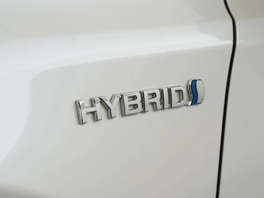 Toyota RAV4 - Afbeelding 20 van 30