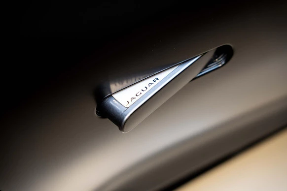 Jaguar F-Type - Afbeelding 19 van 24