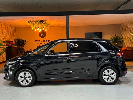 Citroën C4 Spacetourer - Afbeelding 9 van 30