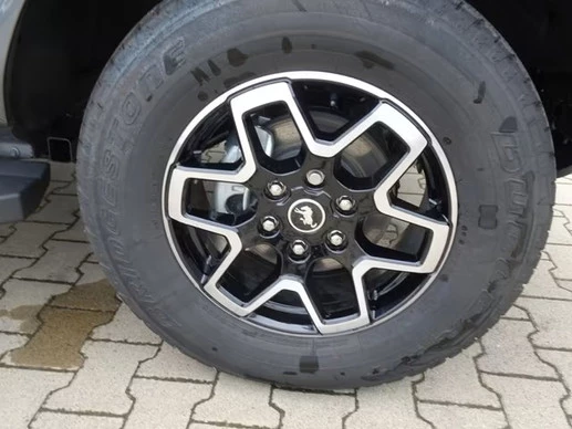 Ford Bronco - Afbeelding 8 van 12