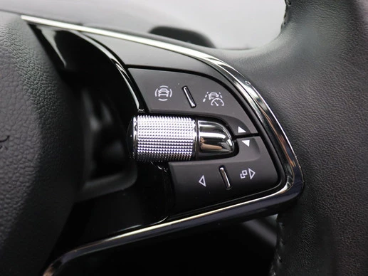 Škoda Enyaq iV - Afbeelding 21 van 30