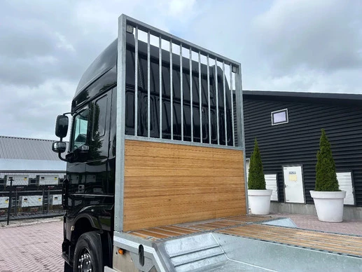 DAF XF 460 - Afbeelding 30 van 30