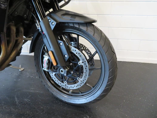 Triumph Tiger - Afbeelding 7 van 14