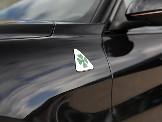 Alfa Romeo Giulia - Afbeelding 6 van 30