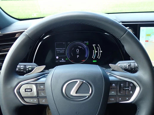Lexus RX - Afbeelding 21 van 24