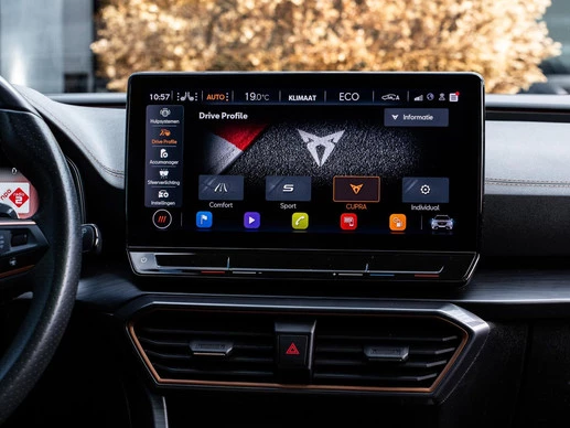 CUPRA Formentor - Afbeelding 28 van 30