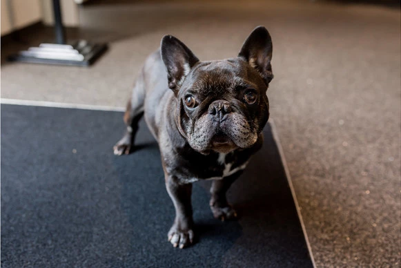 Opel Cascada - Afbeelding 24 van 30