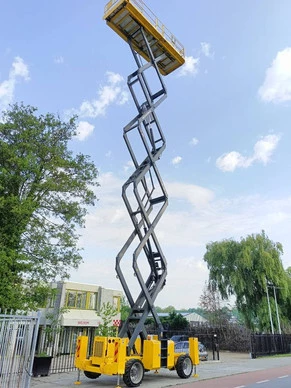 Afbeelding 1