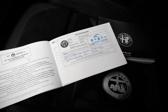 Alfa Romeo Giulia - Afbeelding 19 van 30
