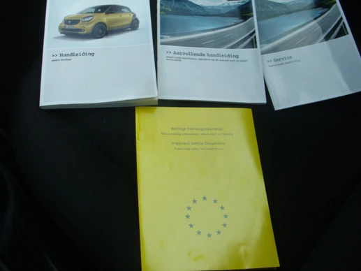 smart Forfour - Afbeelding 20 van 23
