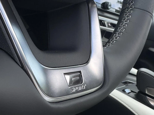 Lexus RX - Afbeelding 24 van 30