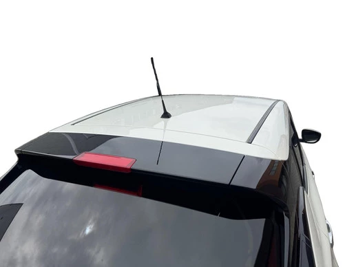 Nissan Leaf - Afbeelding 27 van 30