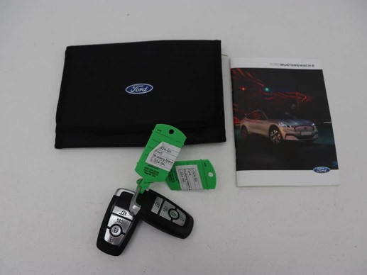 Ford Mustang Mach-E - Afbeelding 25 van 30
