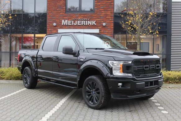 Ford F-150 - Afbeelding 1 van 25
