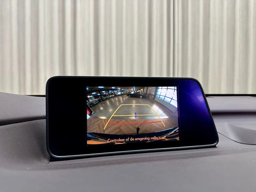 Lexus RX - Afbeelding 11 van 30