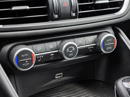 Alfa Romeo Giulia - Afbeelding 20 van 20