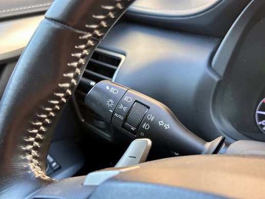 Lexus NX - Afbeelding 15 van 29