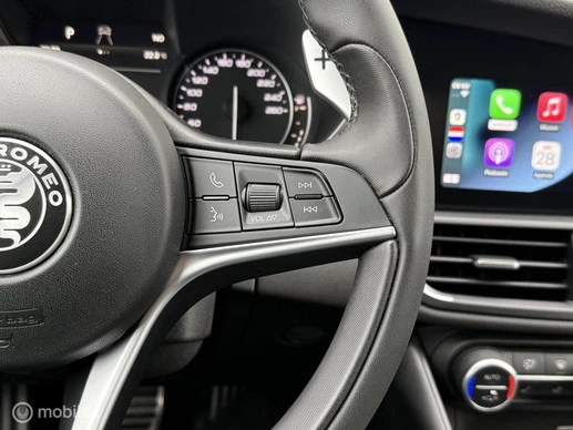 Alfa Romeo Giulia - Afbeelding 16 van 30