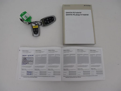 Hyundai Santa Fe - Afbeelding 19 van 30