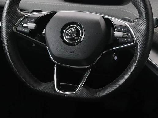 Škoda Enyaq iV - Afbeelding 9 van 30