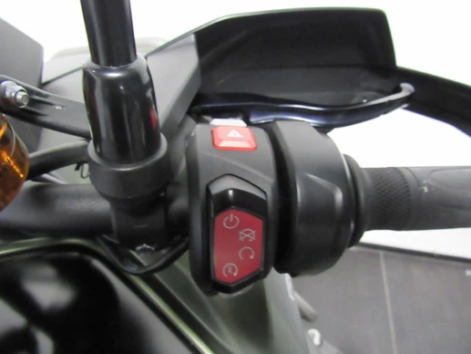 Triumph Tiger - Afbeelding 9 van 10