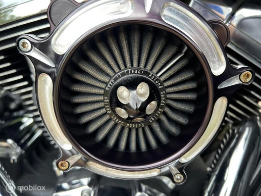 Harley-Davidson Electra Glide - Afbeelding 14 van 23