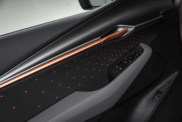 CUPRA Tavascan - Afbeelding 16 van 30