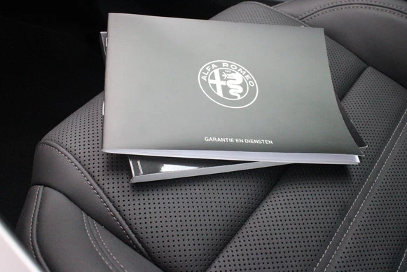 Alfa Romeo Tonale - Afbeelding 19 van 30