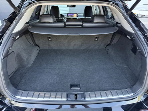 Lexus RX - Afbeelding 25 van 30