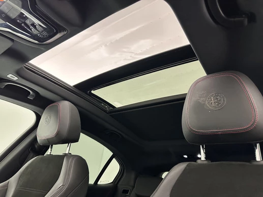 Alfa Romeo Stelvio - Afbeelding 8 van 30