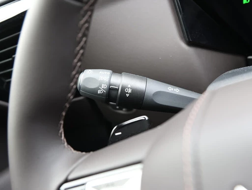 DS DS 4 - Afbeelding 30 van 30