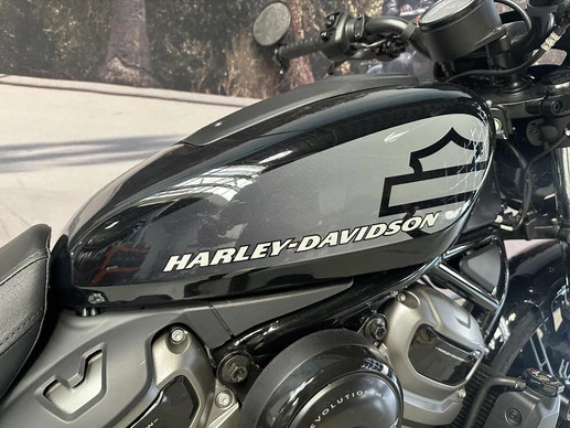 Harley-Davidson Nightster 975 - Afbeelding 3 van 11