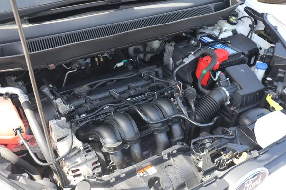 Ford B-MAX - Afbeelding 11 van 30