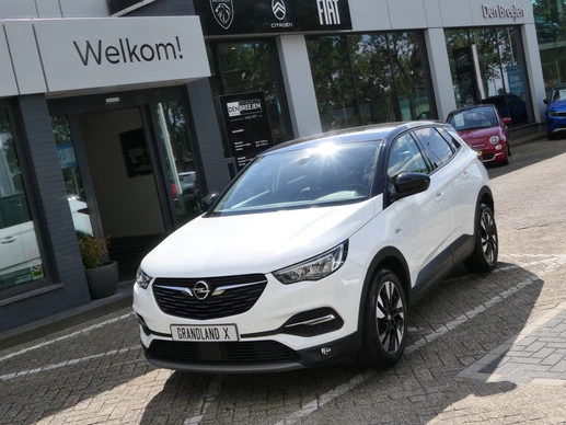 Opel Grandland X - Afbeelding 10 van 30