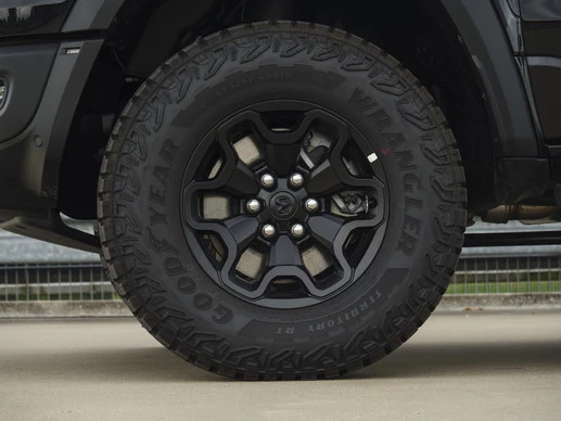 Dodge Ram Pick-Up - Afbeelding 15 van 30