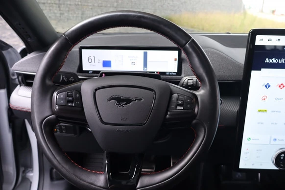 Ford Mustang Mach-E - Afbeelding 16 van 28