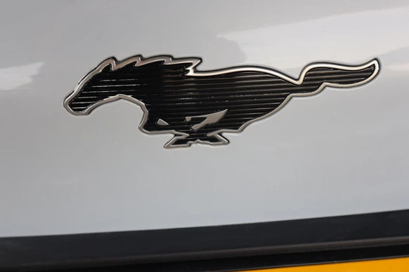 Ford Mustang Mach-E - Afbeelding 24 van 28
