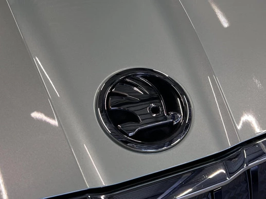 Škoda Enyaq iV - Afbeelding 17 van 30