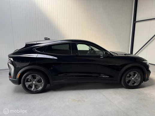 Ford Mustang Mach-E - Afbeelding 5 van 18