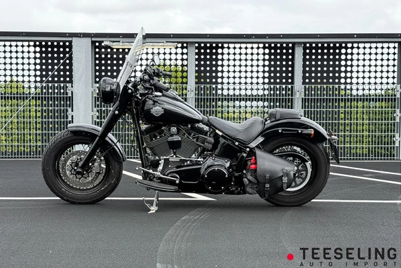 Harley-Davidson Softail - Afbeelding 2 van 20