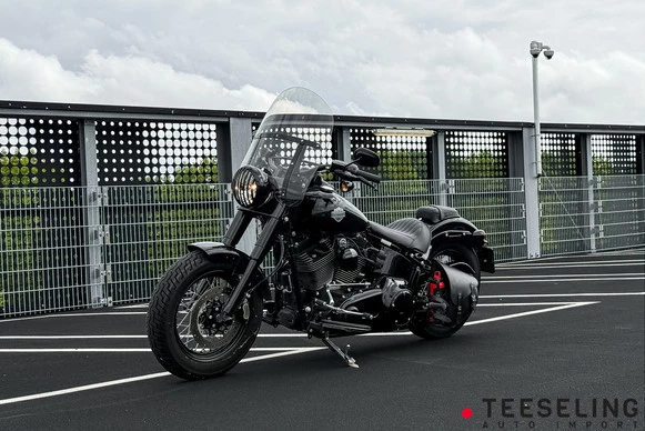 Harley-Davidson Softail - Afbeelding 4 van 20